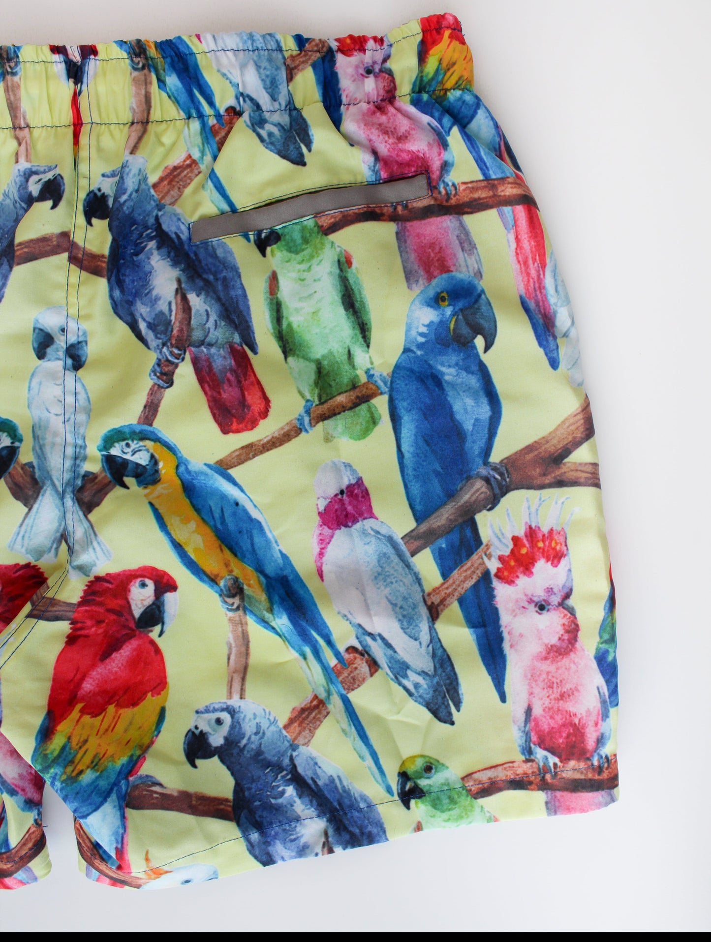 Macaws Short